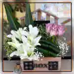 Flower Box