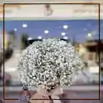 Flower Bouquet
