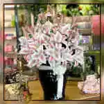 Decoration