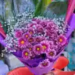 Daudi Pril Yellow Gypsophila Packaging Accessories