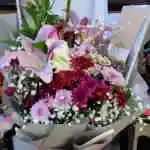 Lilium Purple David Purple Daudi Pink Mor Gypsophila White Daudi Accessories Wrapping