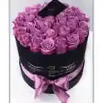 Rose Purple Round Box