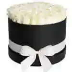 Rose White Round Box