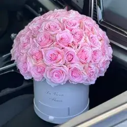 Box Flower's