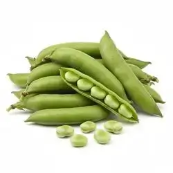 Broad Beans