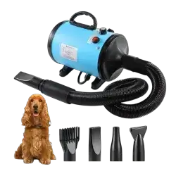 Hair Dryer