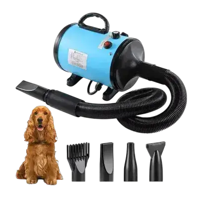 Hair Dryer