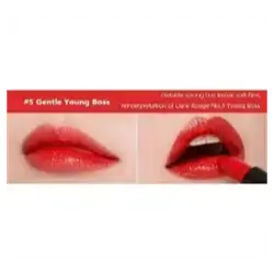 Missha Dare Rouge Sheer Sleek [No.05] (MISSHA & APIEU)
