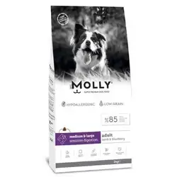 Dog Food