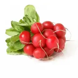 Radish