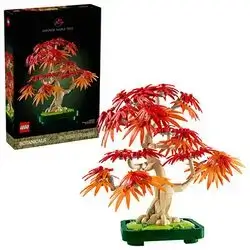 10348 Botanical Japanese Red Maple Bonsai Tree
