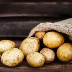 Potato 