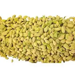 Import Chakala Kg