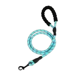 Leash 480cm