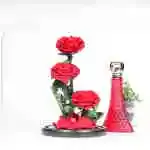 Offer 18