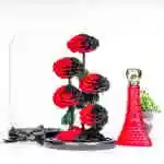 Offer 19