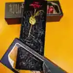 Offer 24