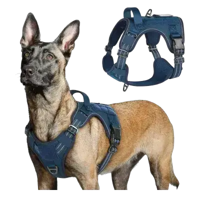 Harness L