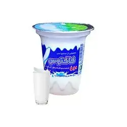 Cactus Yogurt Drink 260ml