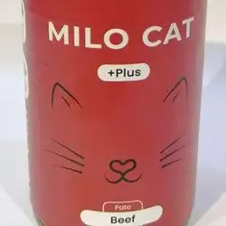 Milo Cat