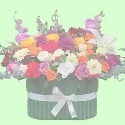 Colorful Garden Box