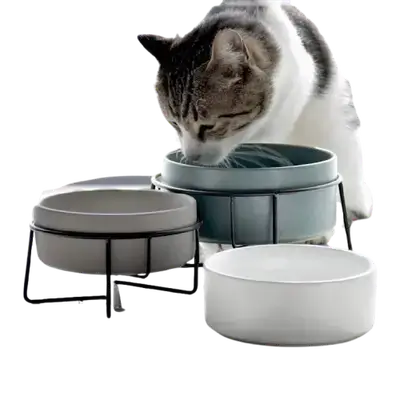 E406 Pet bowl