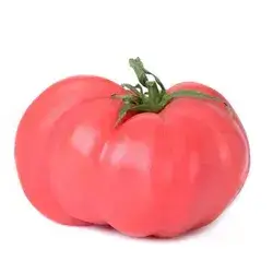 Pink Tomatoes