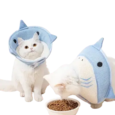 E526 pet recovery collar