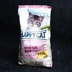 Happy Cat-Kitten Care