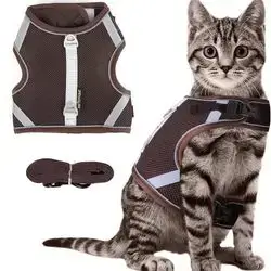 Soft Leash & Harness L
