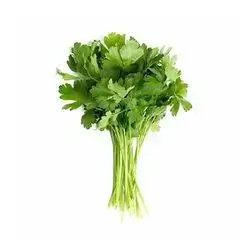 Fresh Parsely Bunch