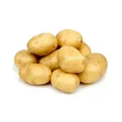 Potato