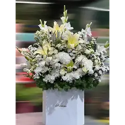 Full Flower Box