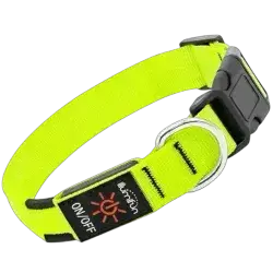 Light Up Dog Collar