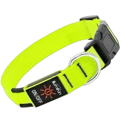 Light Up Dog Collar