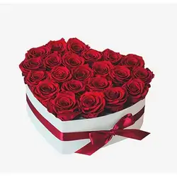 Heart Red Roses
