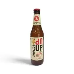 In Bottle Up – Sparkling Ginger Brew
