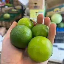 Green sleep