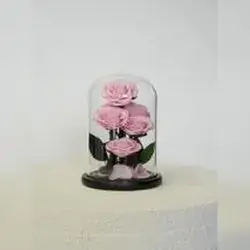 6 Everlasting Flowers - Pink