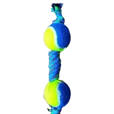Dog Toy