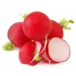 Radish