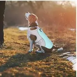Cooling West for Dogs - L
