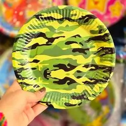 disposable paper plate