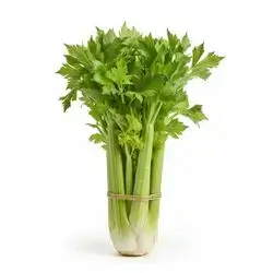 Iranian Celery