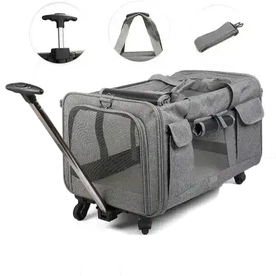 Cat Rolling Carrier