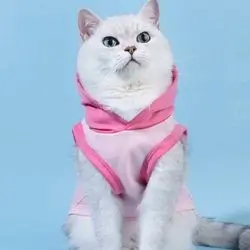 Hoodie L 