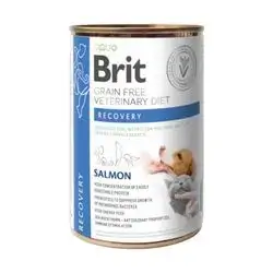 Brit Recovery – Salmon 300g