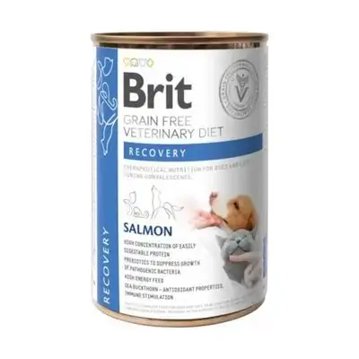 Brit Recovery – Salmon 300g