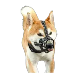 Dog Mask -XL