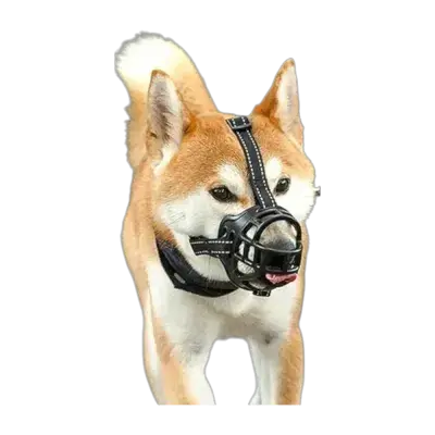 Dog Mask -XL
